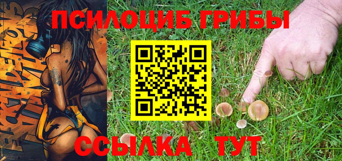 Псилоцибиновые грибы прущие грибы Шуя