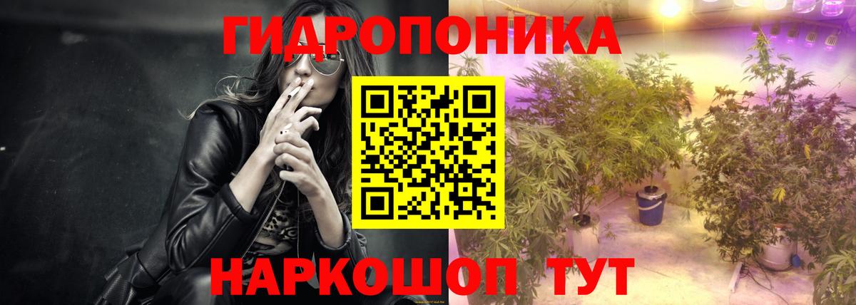 Шуя  Марихуана OG Kush  Вход с VPN  Конопля марихуана  Каннабис план 